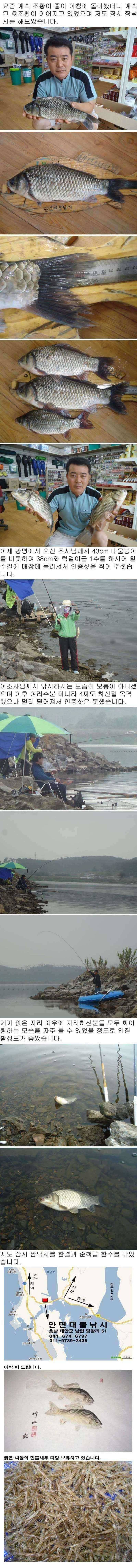 68 부남호 연일 나오는 4짜 대물붕어와 화이팅하는 모습 (조황조행기 - 특파원조황)