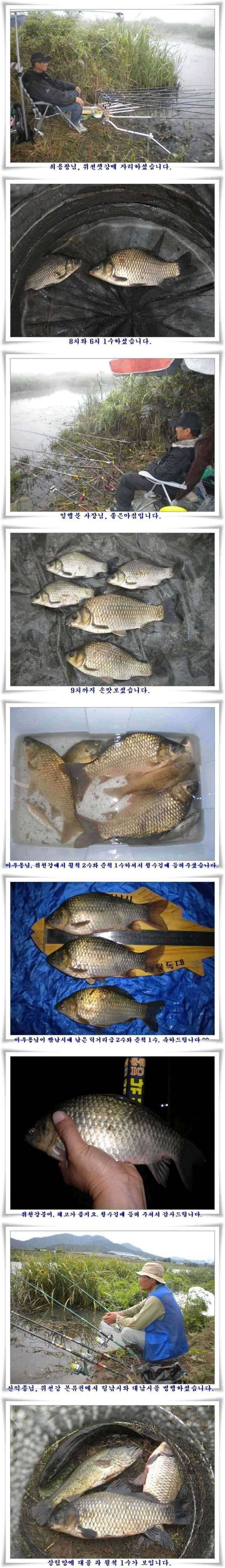 소류지강월준척에 마릿수 (조황조행기 - 특파원조황)