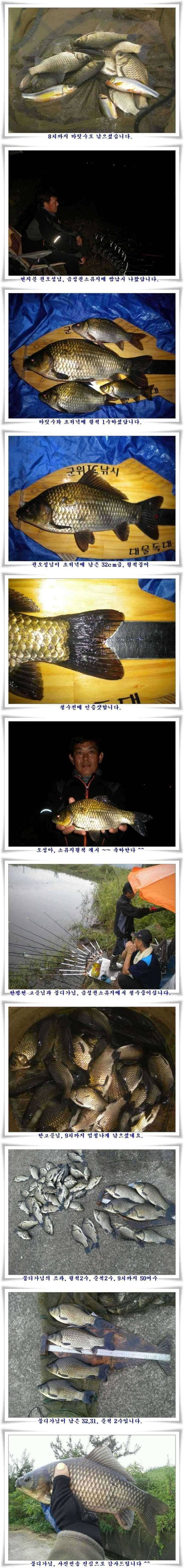소류지강월준척에 마릿수 (조황조행기 - 특파원조황)