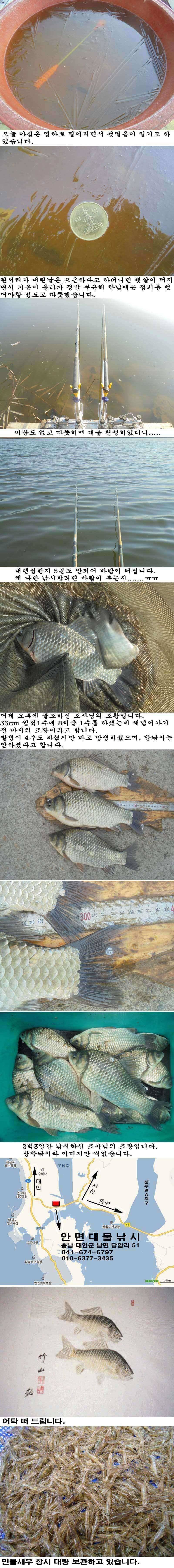1119 부남호 주중 조황 (조황조행기 - 특파원조황)