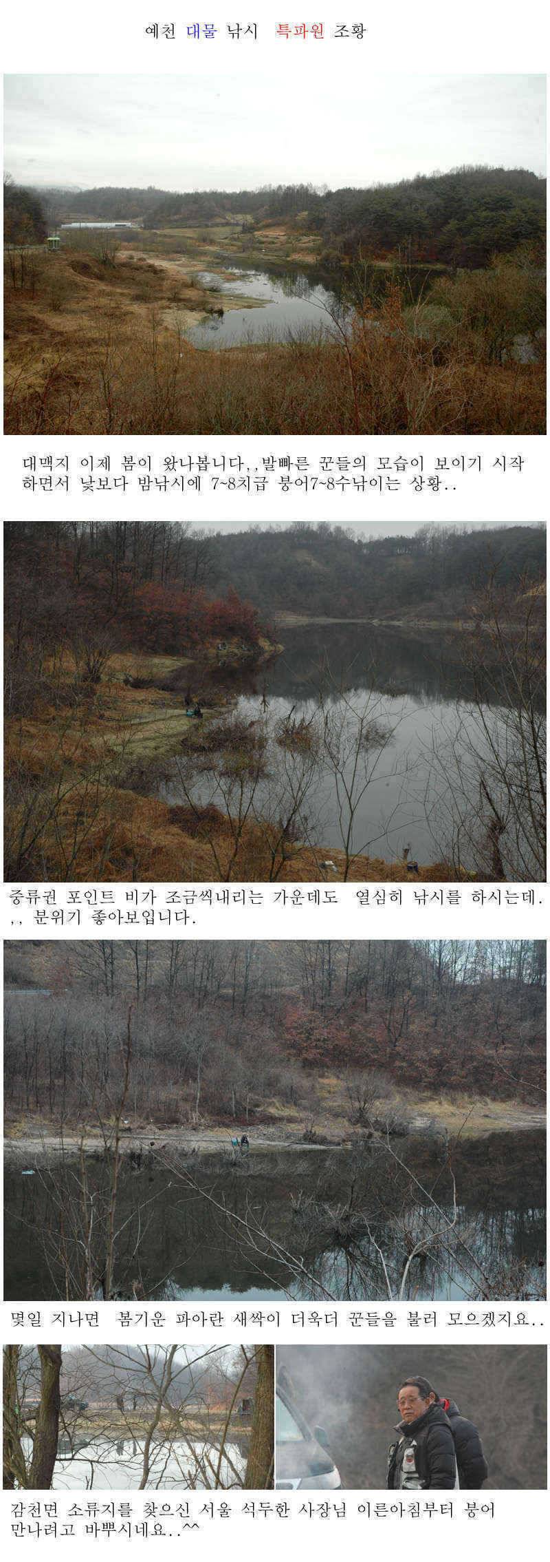 예천권 붕어손맛과 대물붕어의 만남이 시작됩니다 (조황조행기 - 특파원조황)