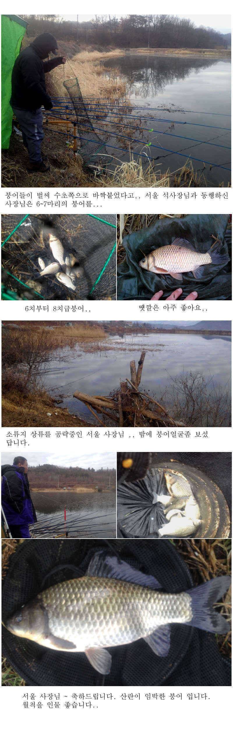 예천권 붕어손맛과 대물붕어의 만남이 시작됩니다 (조황조행기 - 특파원조황)