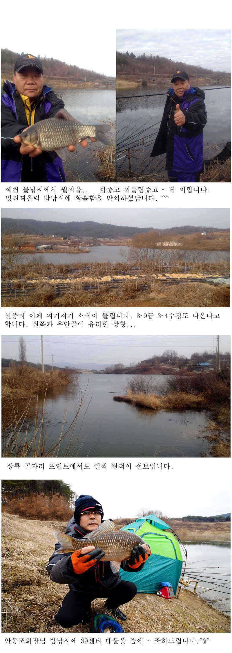 예천권 붕어손맛과 대물붕어의 만남이 시작됩니다 (조황조행기 - 특파원조황)