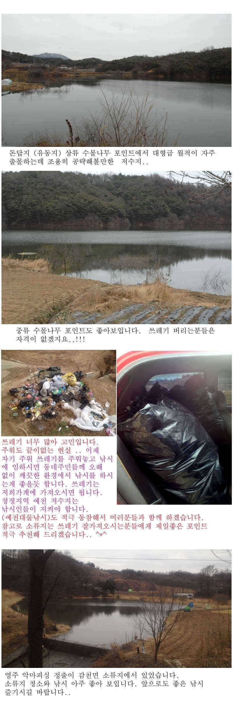 예천권 붕어손맛과 대물붕어의 만남이 시작됩니다 (조황조행기 - 특파원조황)