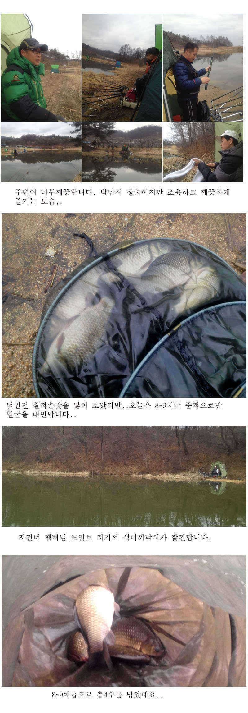 예천권 붕어손맛과 대물붕어의 만남이 시작됩니다 (조황조행기 - 특파원조황)