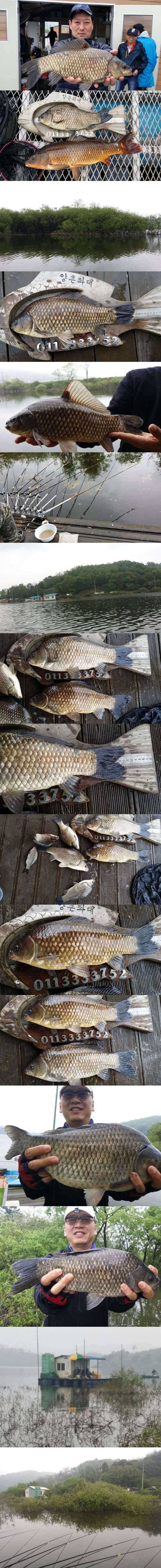 고삼지 4짜 낚기 딱 좋은 낚시터인데 (조황조행기 - 특파원조황)