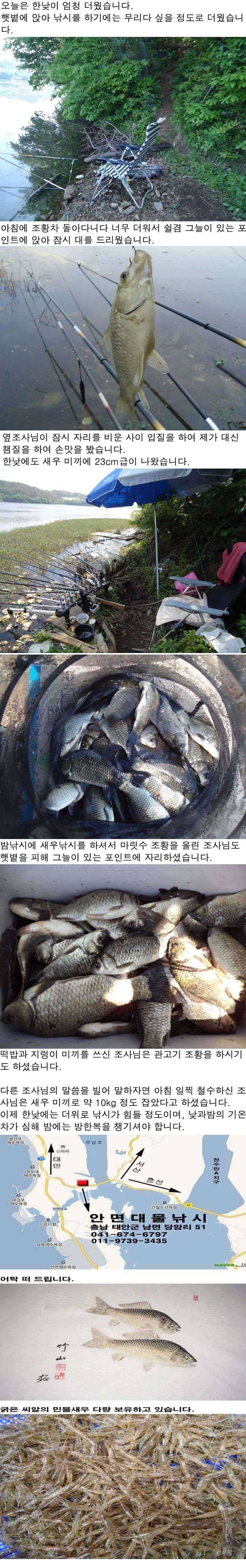 523 안면도권 저수지 새우 밤낚시 조황 (조황조행기 - 특파원조황)