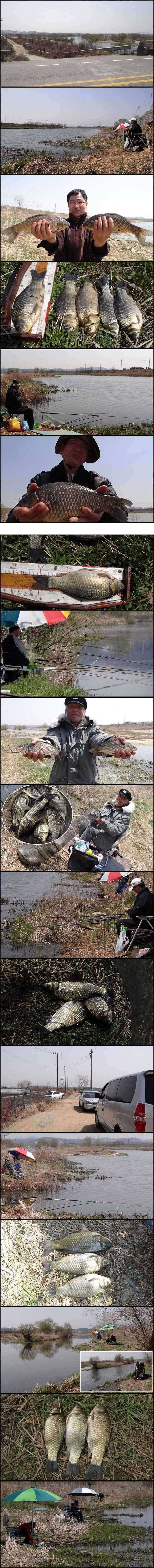 회화리보 벌건 대낮에 월척이 (조황조행기 - 특파원조황)