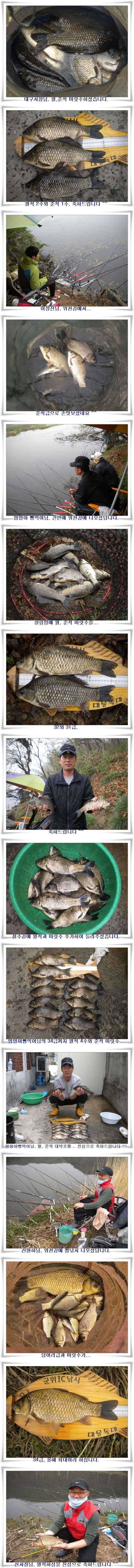 엄청난 대박조황들 (조황조행기 - 특파원조황)