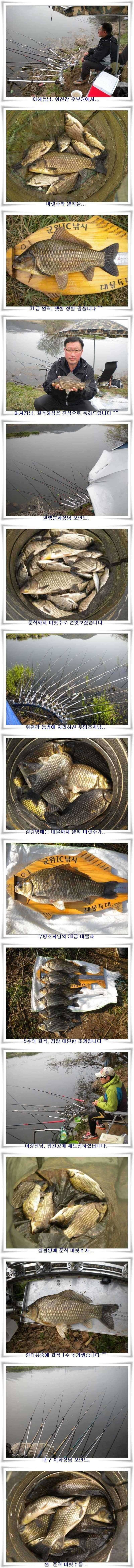 엄청난 대박조황들 (조황조행기 - 특파원조황)