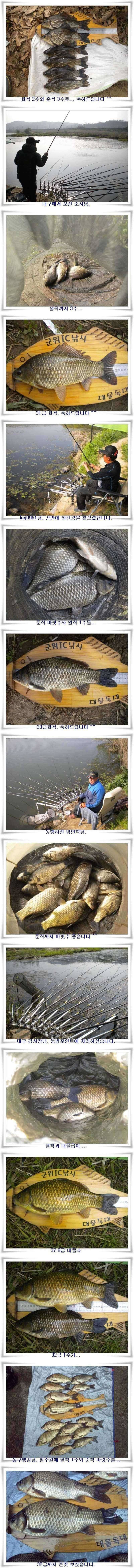엄청난 대박조황들 (조황조행기 - 특파원조황)