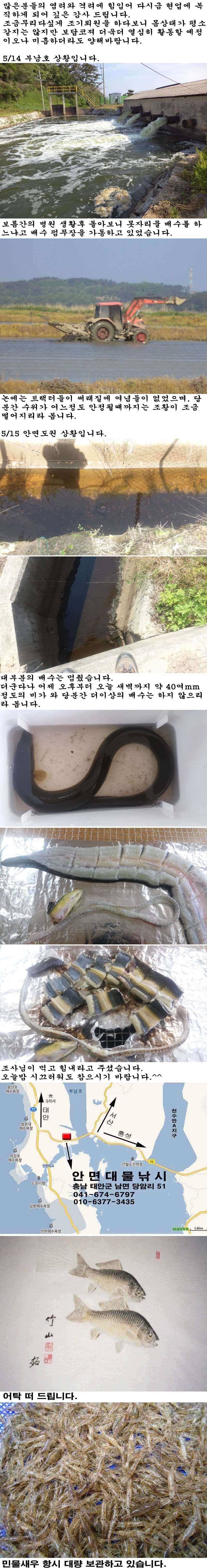 현업 복귀 신고합니다 (조황조행기 - 특파원조황)