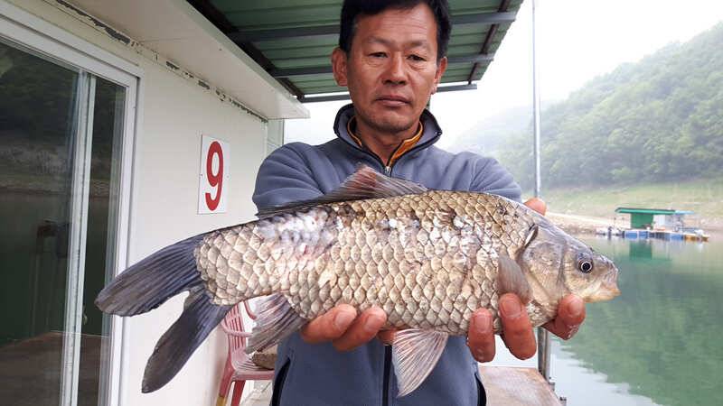목벌 44cm 대물붕어 (조황조행기 - 특파원조황)