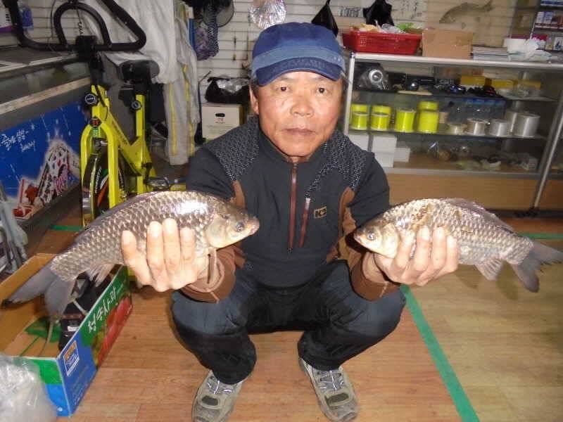 327 부남호 조황 (조황조행기 - 특파원조황)