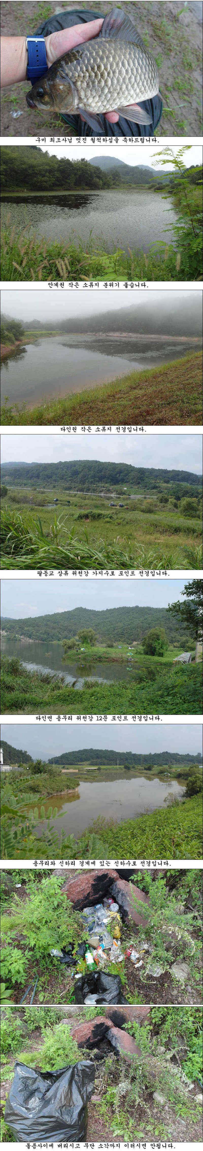 사짜들455cm425cm과 월척들 조황 (조황조행기 - 특파원조황)