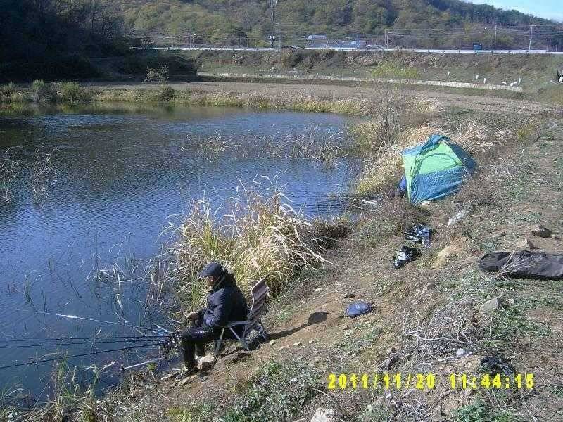 저수지 조황 (조황조행기 - 특파원조황)