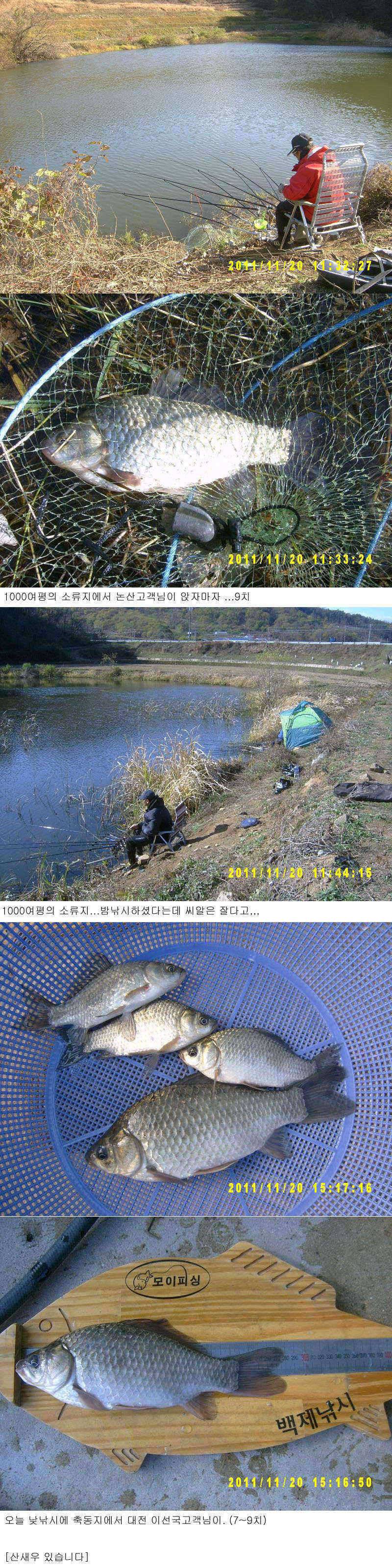 저수지 조황 (조황조행기 - 특파원조황)