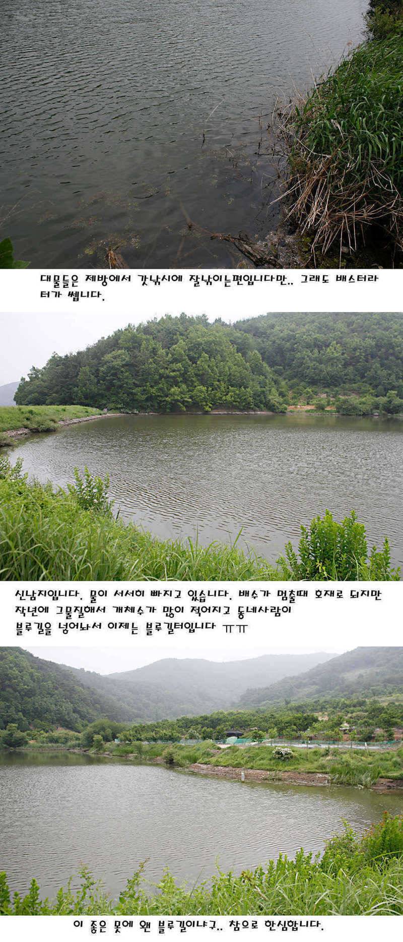청도권 지난주 조황정보 (조황조행기 - 특파원조황)