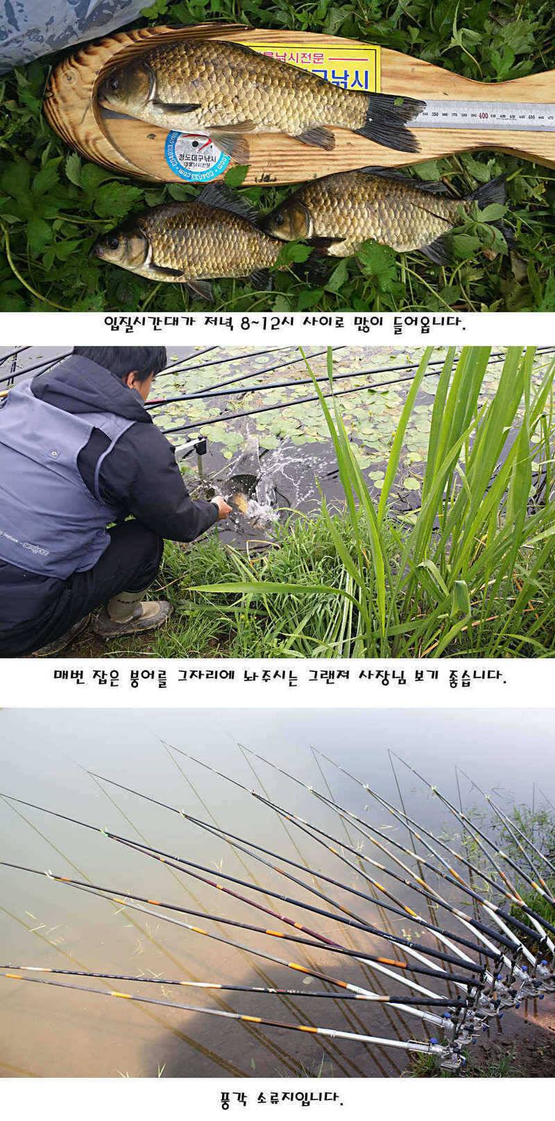 청도권 지난주 조황정보 (조황조행기 - 특파원조황)