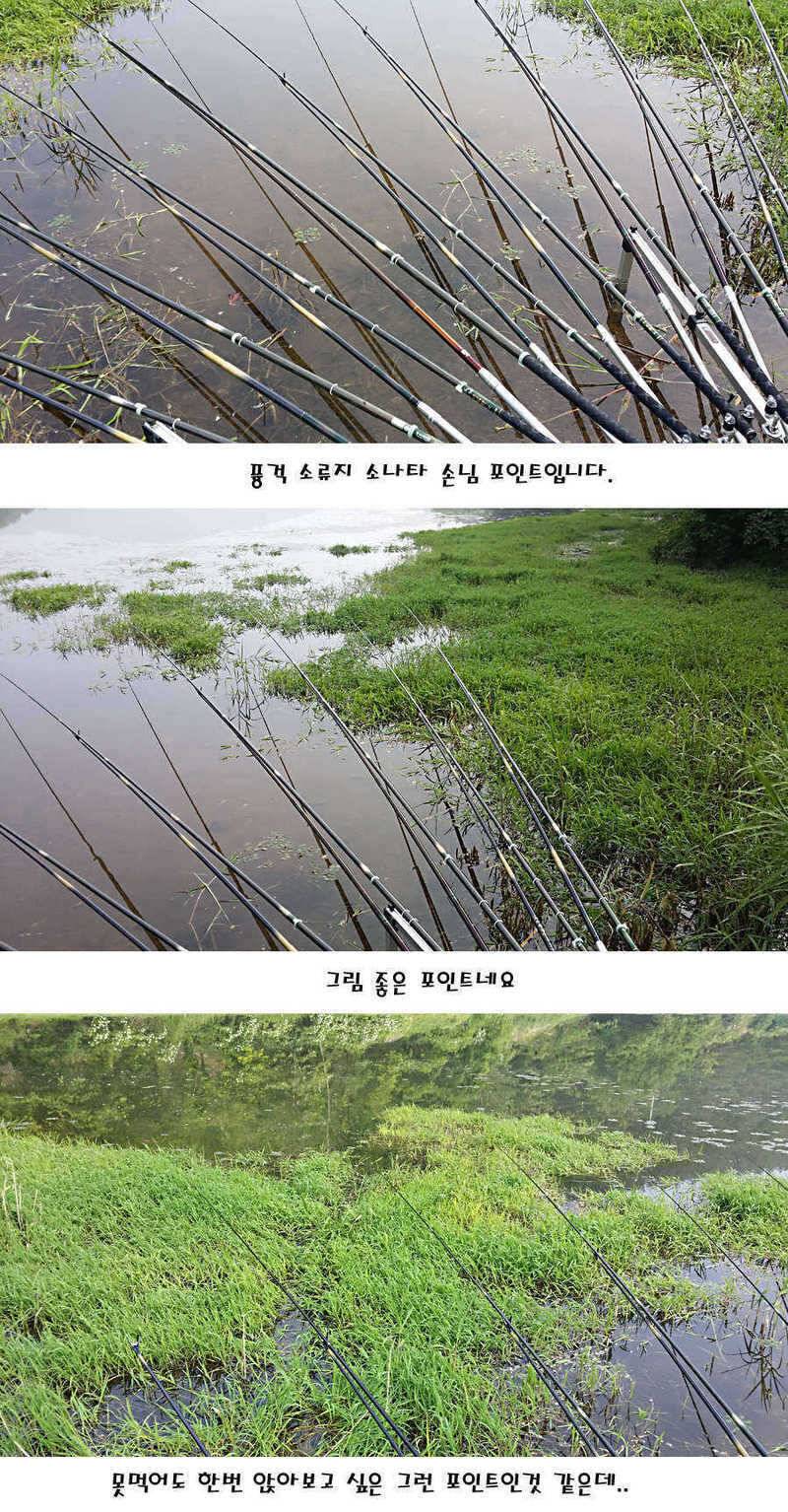 청도권 지난주 조황정보 (조황조행기 - 특파원조황)