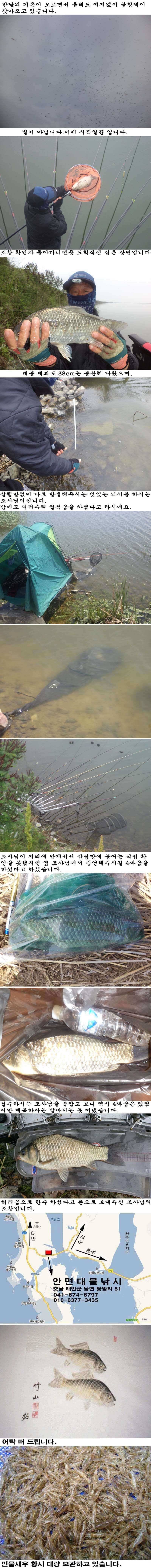 529 부남호 4짜급 대물붕어 풍성한 주말 조황 (조황조행기 - 특파원조황)