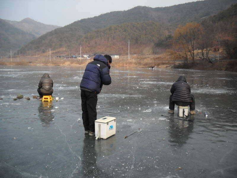 새해 복 많이 받으세요 (조황조행기 - 특파원조황)