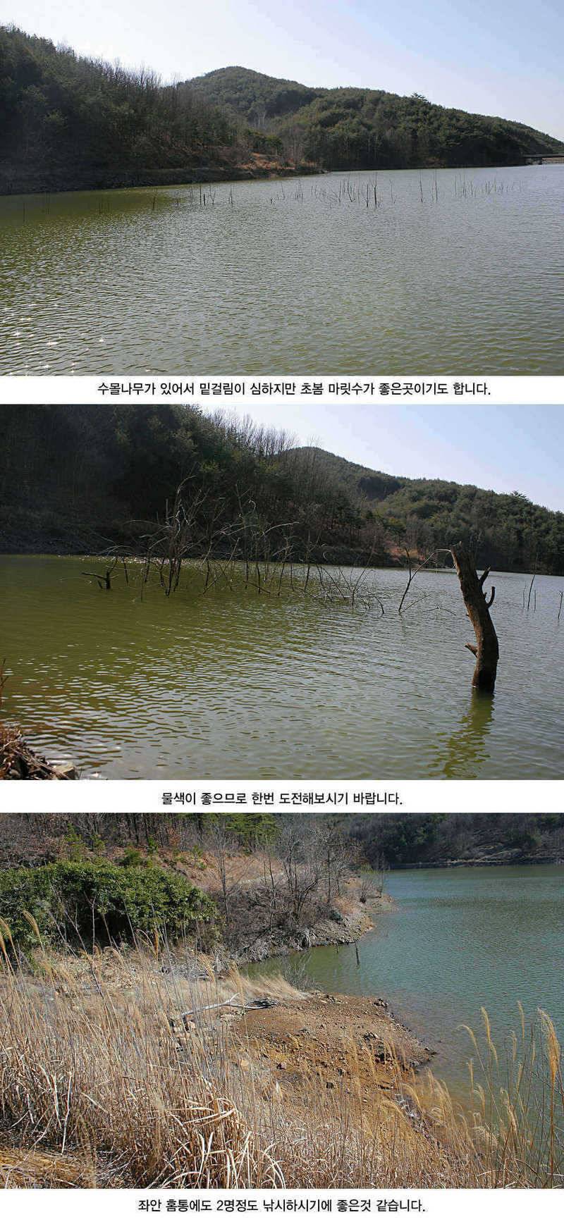 청도권 3033cm까지 45수 (조황조행기 - 특파원조황)