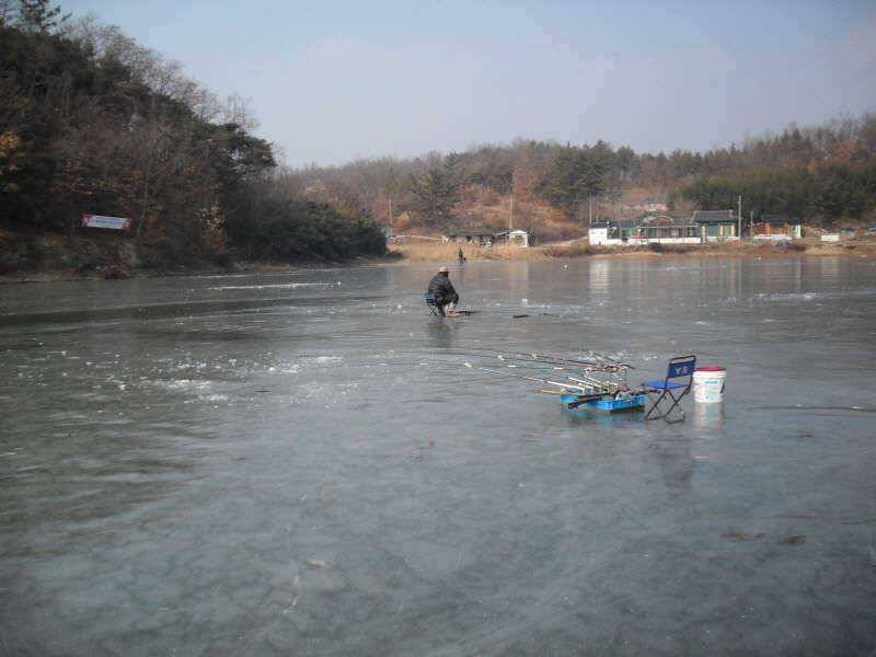 새해 복 많이 받으세요 (조황조행기 - 특파원조황)