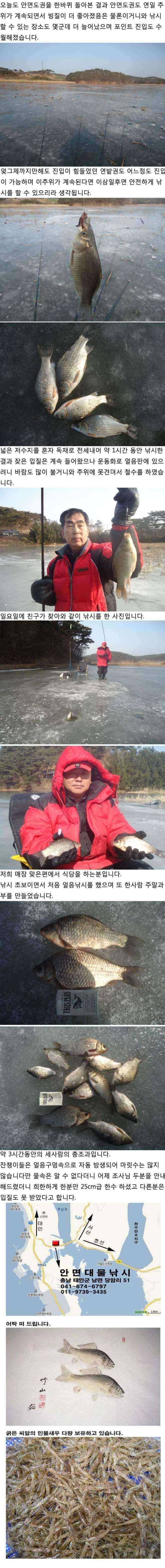 131 안면도권 저수지 및 수로 얼음낚시 안내 (조황조행기 - 특파원조황)