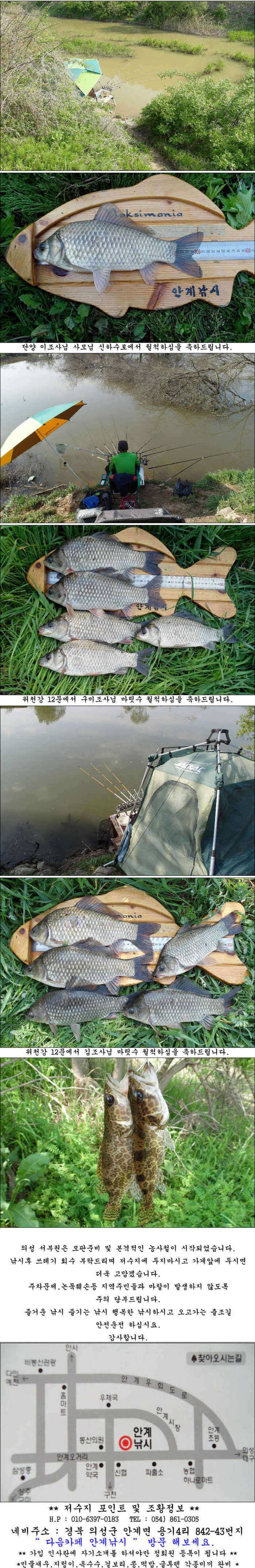 때월척과 허리급 조황입니다 (조황조행기 - 특파원조황)