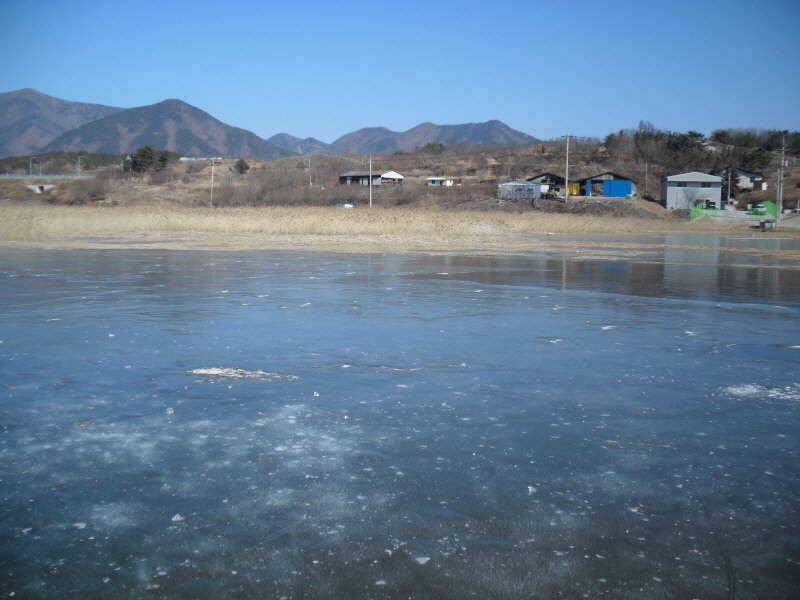 새해 복 많이 받으세요 (조황조행기 - 특파원조황)