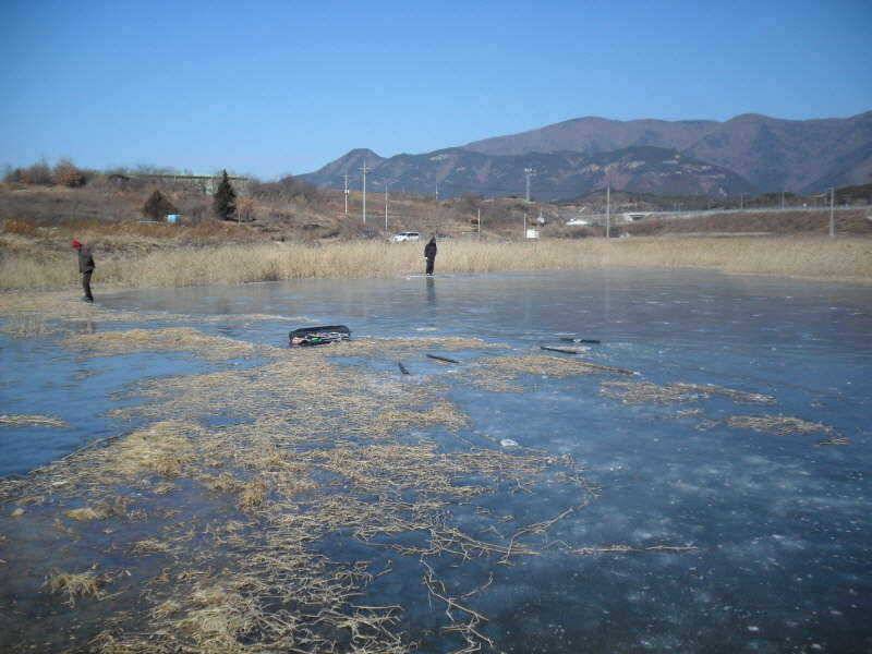 새해 복 많이 받으세요 (조황조행기 - 특파원조황)