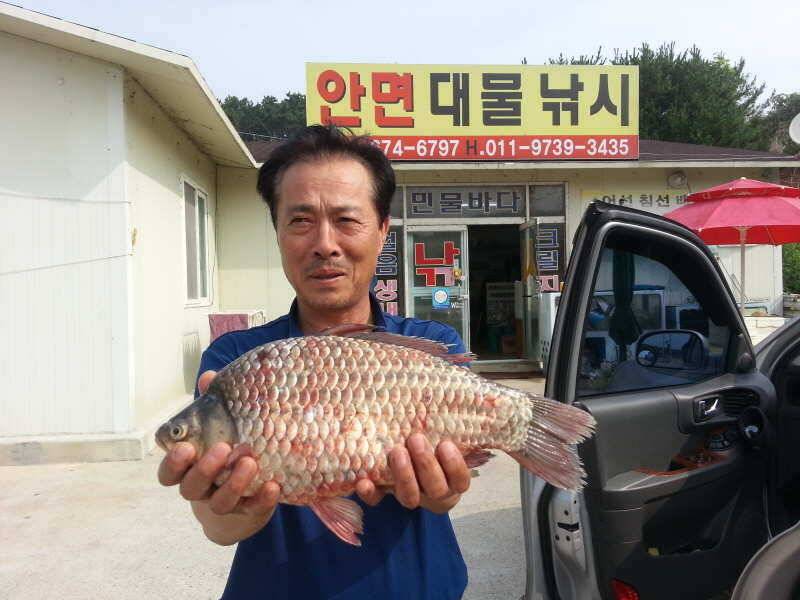728 부남호 약한 배수에도 나온 씨알 및 마릿수 조황 (조황조행기 - 특파원조황)