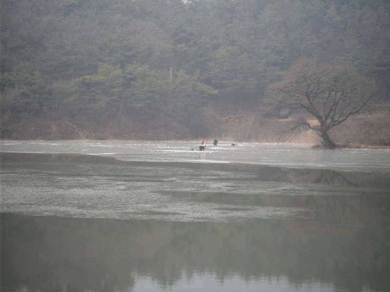 새해 복 많이 받으세요 (조황조행기 - 특파원조황)