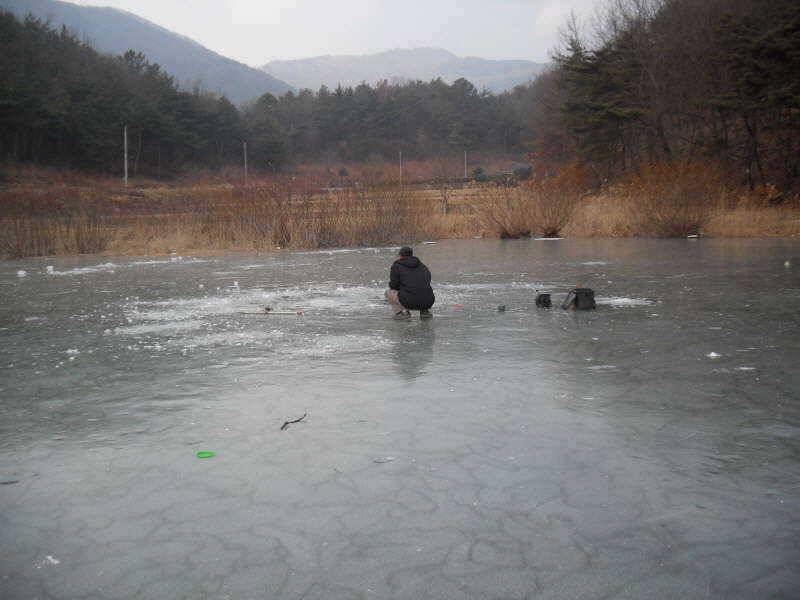 새해 복 많이 받으세요 (조황조행기 - 특파원조황)