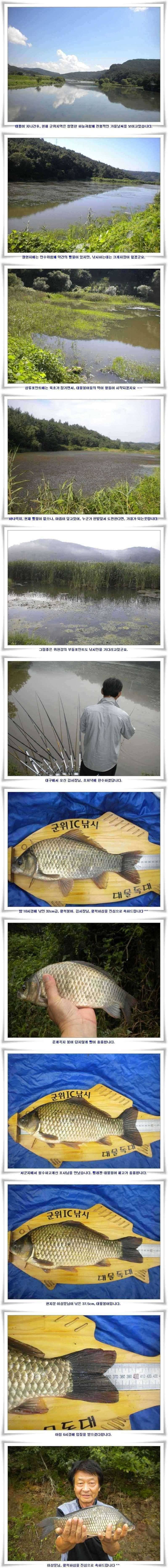 가을시즌시작 375 (조황조행기 - 특파원조황)