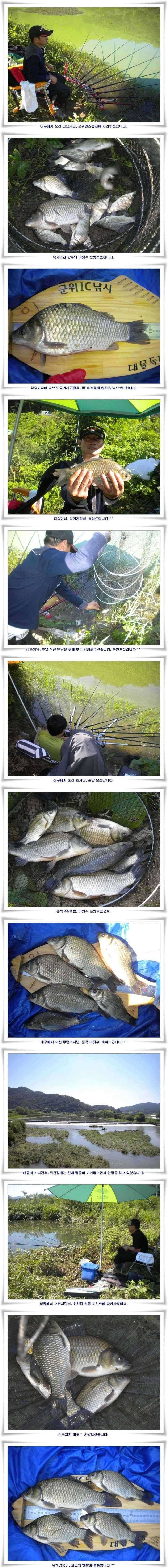 가을시즌시작 375 (조황조행기 - 특파원조황)