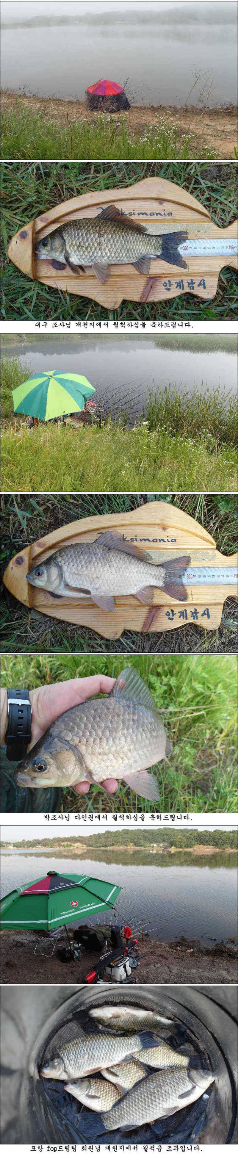 조황소식과 저수지 상황 (조황조행기 - 특파원조황)