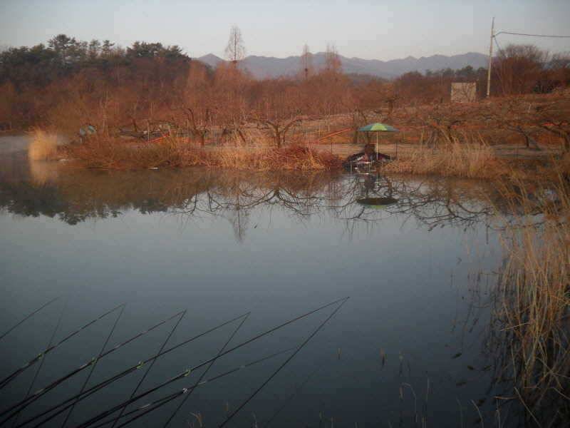 월척을 만나기 좋은시기죠 (조황조행기 - 특파원조황)