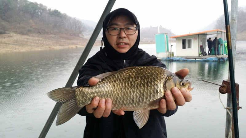 하천리 38 39cm 허리급 조황 (조황조행기 - 특파원조황)