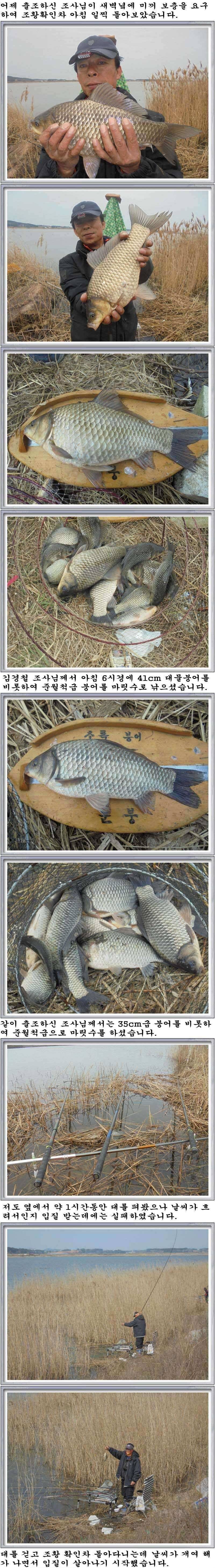 410 부남호 41cm등 월척급 마릿수 조황 (조황조행기 - 특파원조황)