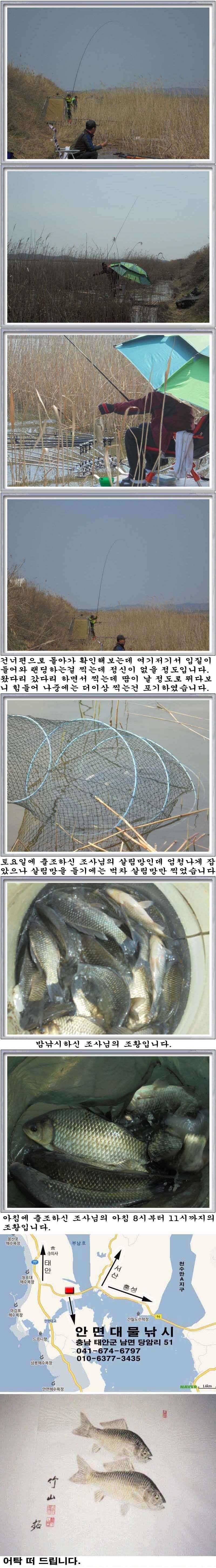 410 부남호 41cm등 월척급 마릿수 조황 (조황조행기 - 특파원조황)