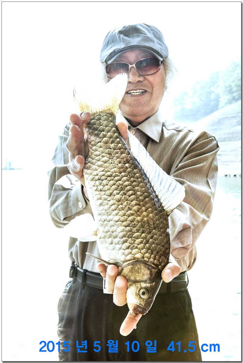 신매 낚시터 43 cm 대물 (조황조행기 - 특파원조황)