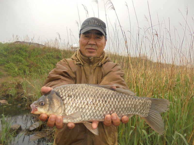 53 부남호 44cm외 주말 연휴 조황 (조황조행기 - 특파원조황)