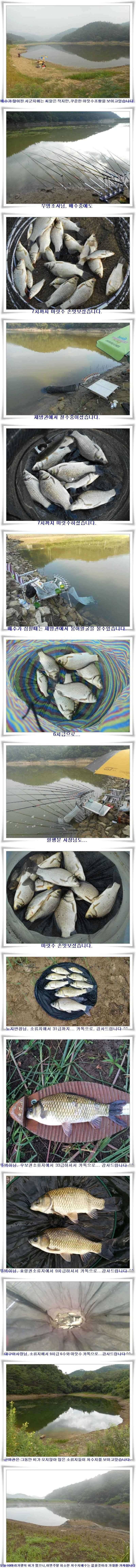 4짜와 월척26수생자리의 위력 (조황조행기 - 특파원조황)