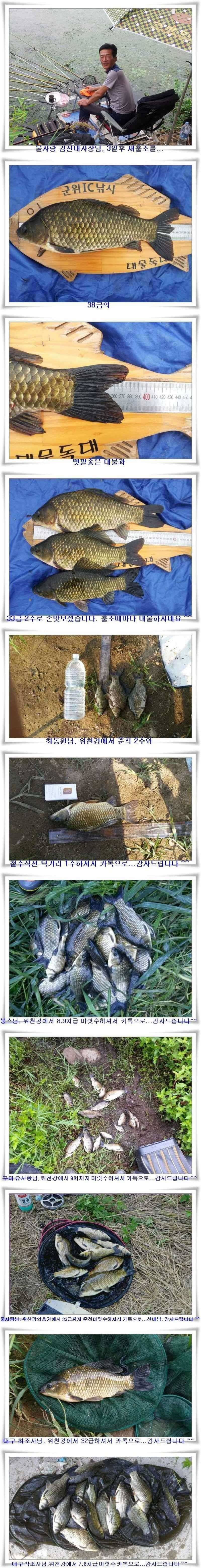 4짜와 월척26수생자리의 위력 (조황조행기 - 특파원조황)