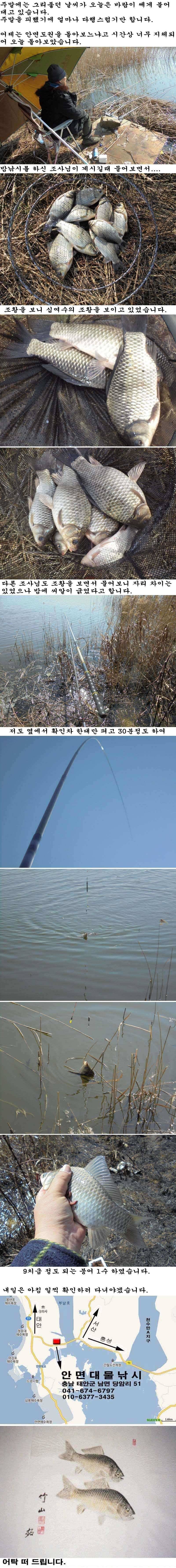 313 부남호 조황 (조황조행기 - 특파원조황)