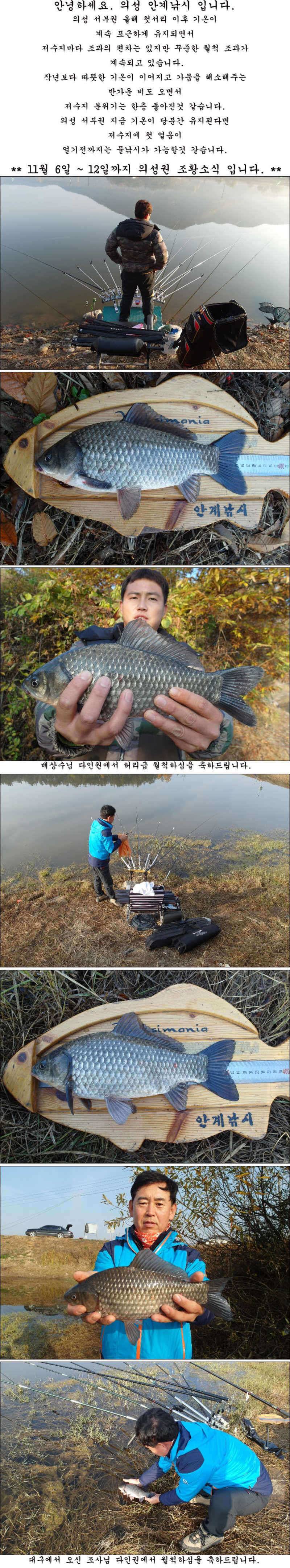 꾸준한 허리급과 월척조황 (조황조행기 - 특파원조황)