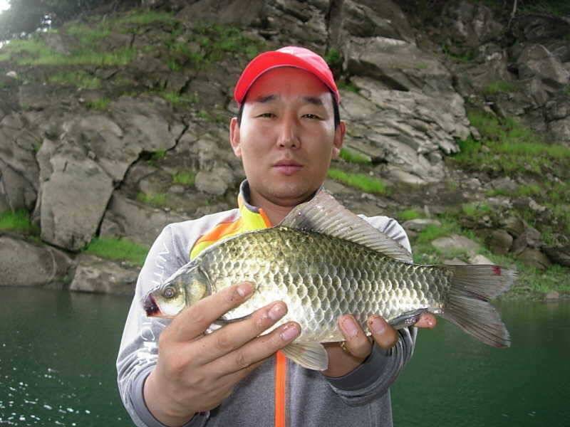 충주호 병호낚시터월척급 소식 (조황조행기 - 특파원조황)