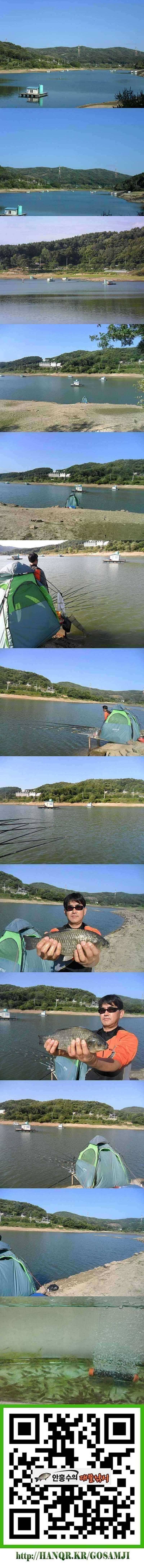덕산지 오랜만에 올리는 붕어소식 (조황조행기 - 특파원조황)